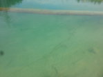20150727_122544.jpg 20150727_122544.jpg
