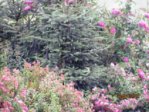 Wetter IMG_5369.JPG Wetter IMG_5369.JPG