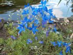 DSCN0557.JPG