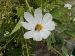 DSCN0537.JPG