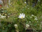DSCN0539.JPG