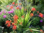 Garten 2.8.15 008.JPG