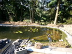 IMG_20150807_180423.jpg