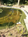 IMG_20150807_180553.jpg