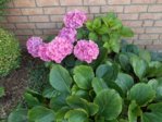 DSCN0585.JPG