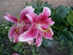 DSCN0590.JPG