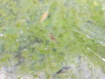 20150820_173708.jpg 20150820_173708.jpg
