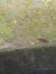 20150820_173626.jpg 20150820_173626.jpg