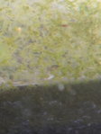 20150820_173641.jpg 20150820_173641.jpg