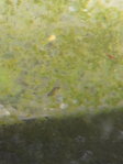 20150820_173648.jpg 20150820_173648.jpg