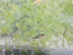 20150820_173704.jpg 20150820_173704.jpg
