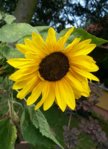 20150816_091550.jpg