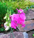 20150814_084706.jpg