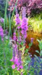 20150824_164841.jpg