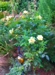 20150824_164639.jpg