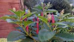 20150824_170023.jpg