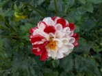 DSCN0627.JPG