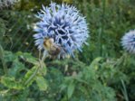 DSCN0628.JPG