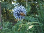 DSCN0629.JPG