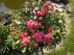 DSCN0630.JPG