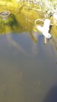20150830_141113.jpg
