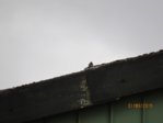 Marco IMG_6310.JPG