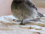 Marco IMG_6352.JPG