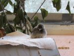 Marco IMG_6360.JPG