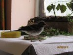 Marco IMG_6470.JPG