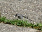 Marco IMG_6485.JPG