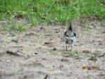 Marco IMG_6492.JPG
