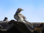 Marco IMG_6497.JPG