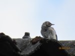 Marco IMG_6500.JPG