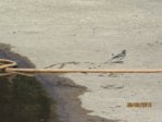Marco IMG_6520.JPG