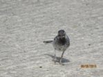 Marco IMG_6524.JPG