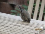 Marco IMG_6792.JPG