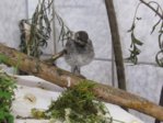 Marco IMG_6799.JPG