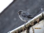 Marco IMG_6802.JPG
