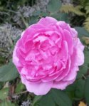 20150903_170956.jpg