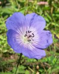 20150913_125753.jpg