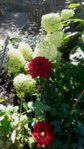 20150913_124651.jpg