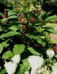 20150913_124613.jpg