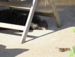 Marco IMG_7426.JPG