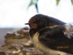 IMG_7673.JPG