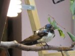 IMG_7700.JPG