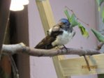 IMG_7701.JPG