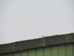 Marco IMG_7862.JPG