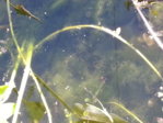 20150926_163351.jpg 20150926_163351.jpg