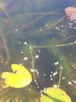 20150926_163357.jpg 20150926_163357.jpg