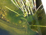 20150926_163615.jpg 20150926_163615.jpg